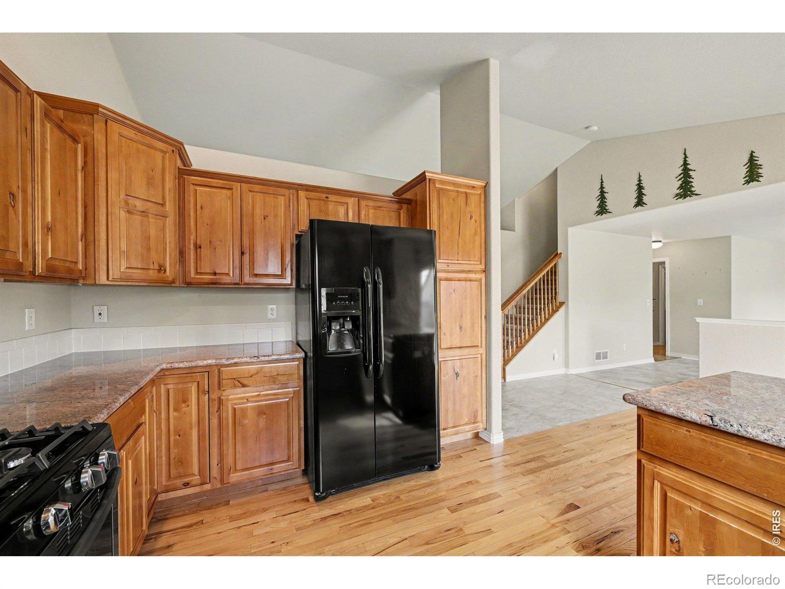 9064 Raging Bull Lane Wellington CO 80549