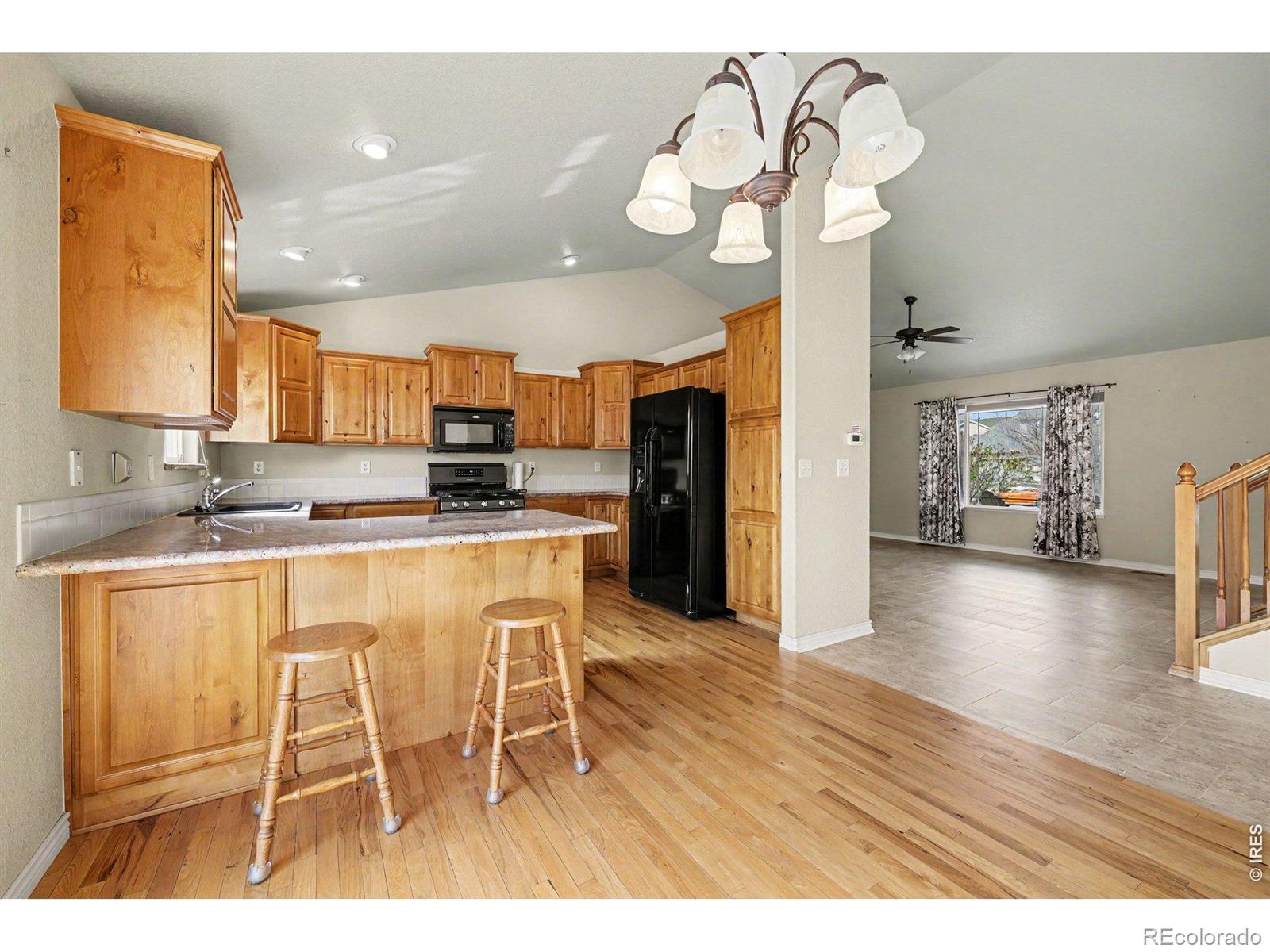 9064 Raging Bull Lane Wellington CO 80549