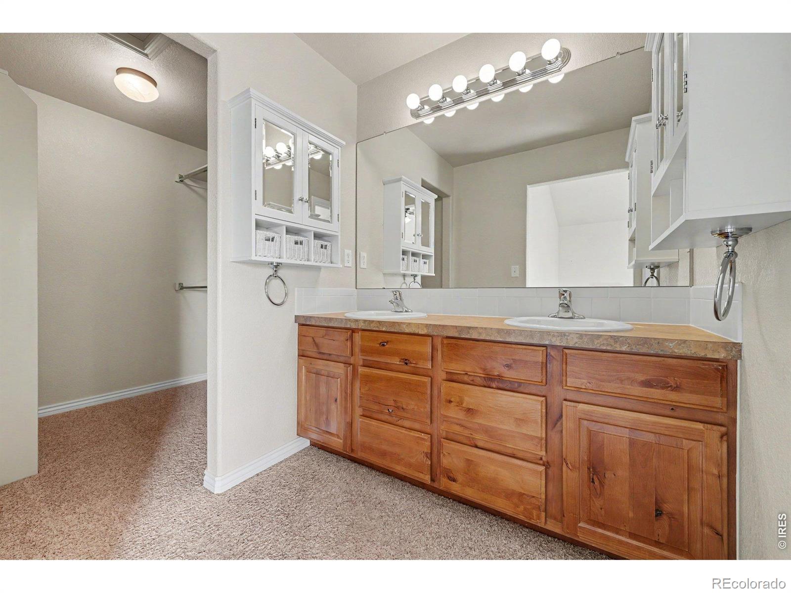 9064 Raging Bull Lane Wellington CO 80549