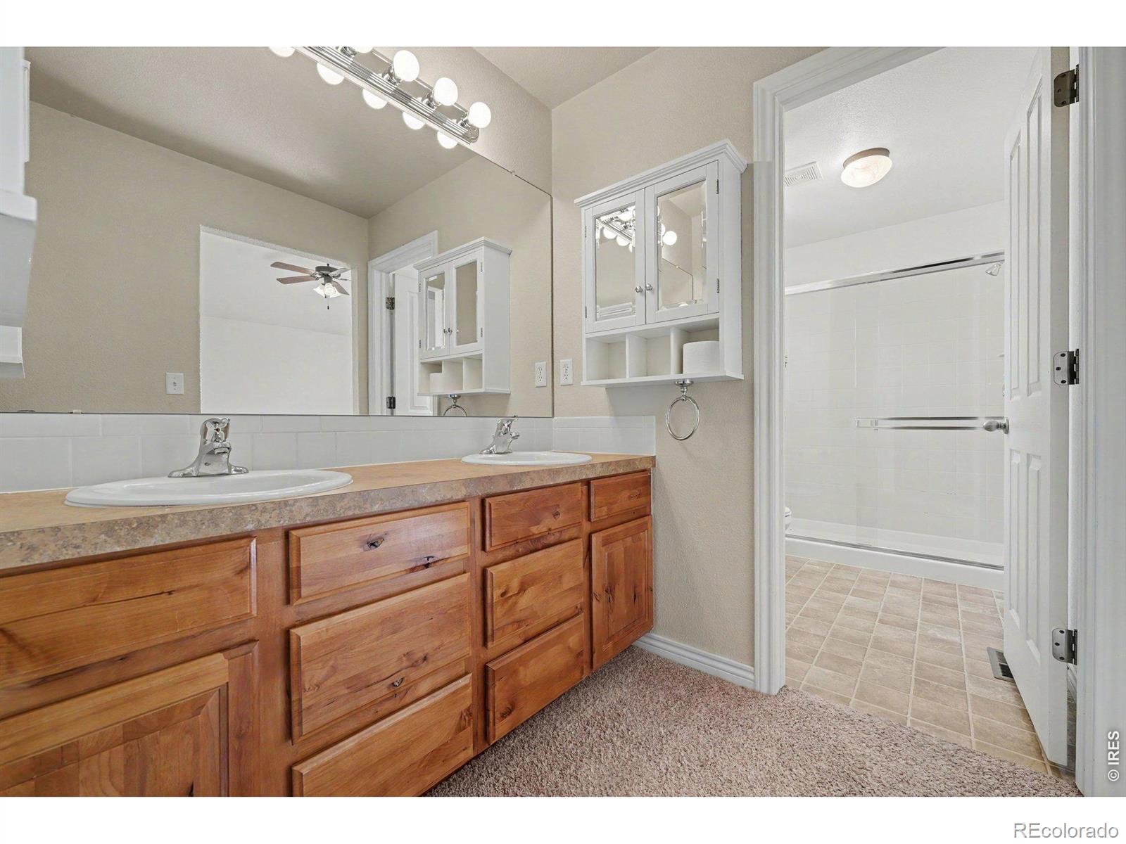 9064 Raging Bull Lane Wellington CO 80549