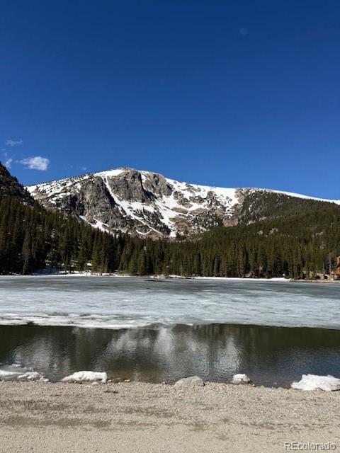 325 Aspen Road Idaho Springs CO 80452