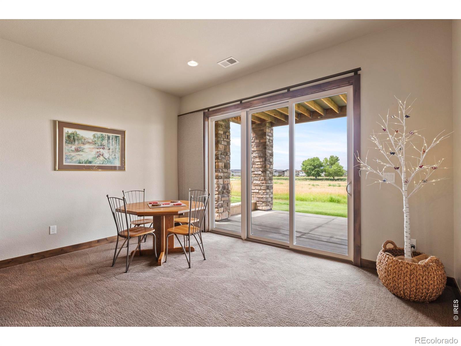 6902 White Snow Court Timnath CO 80547