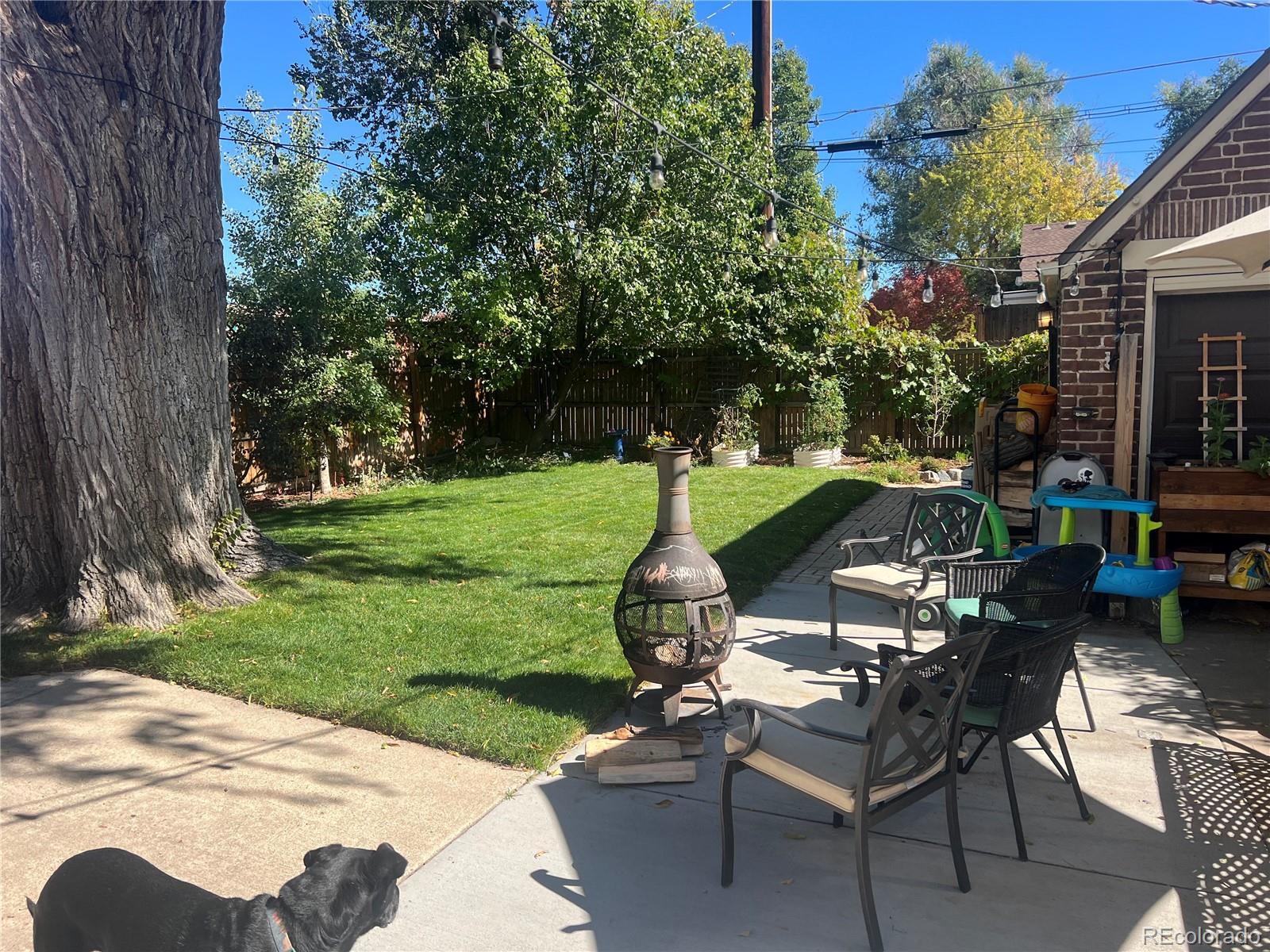 1462 Glencoe Street Denver CO 80220