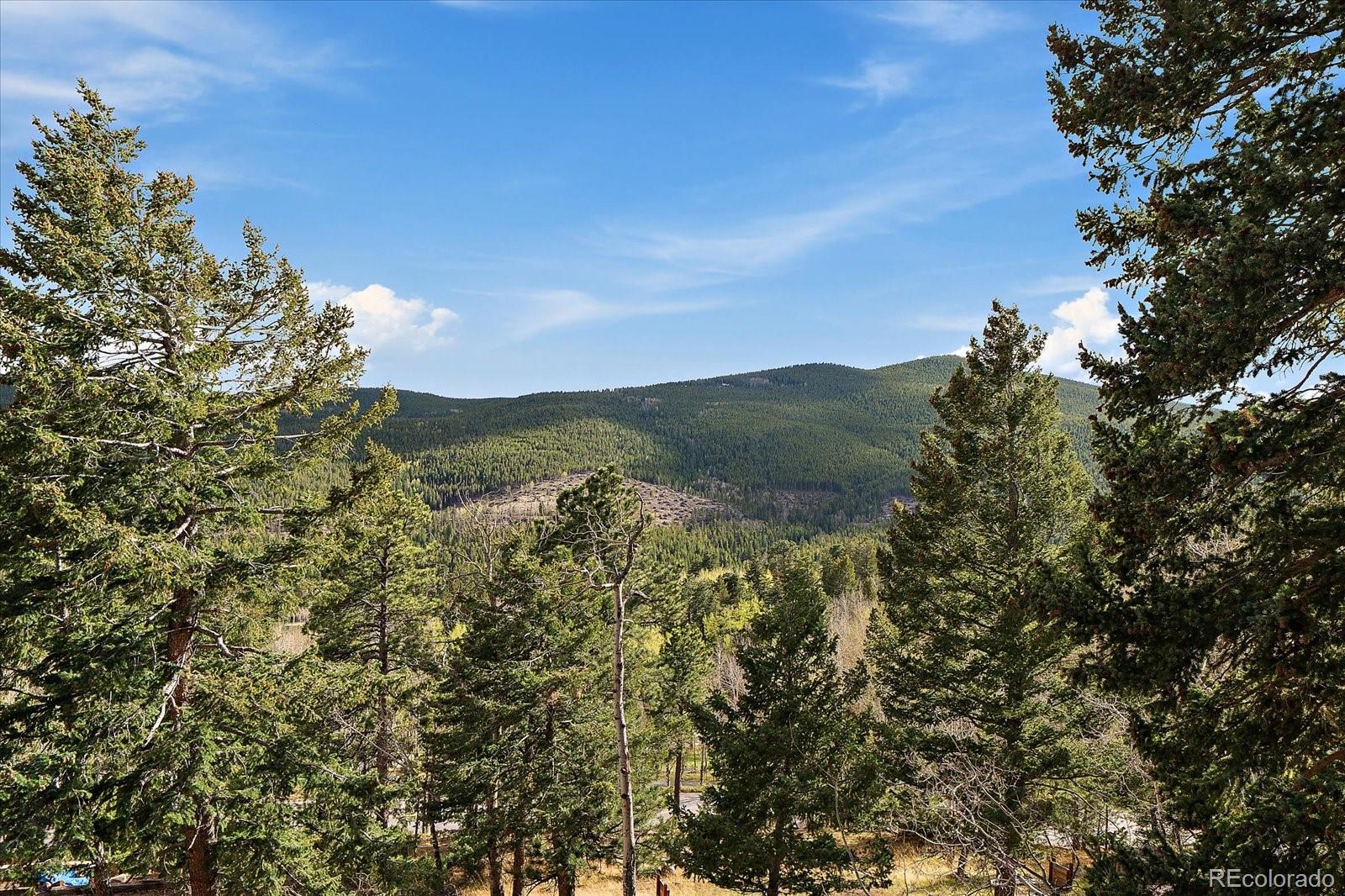 81 Raccoon Circle Evergreen CO 80439