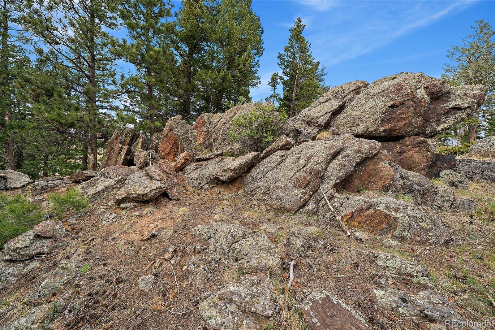 81 Raccoon Circle Evergreen CO 80439