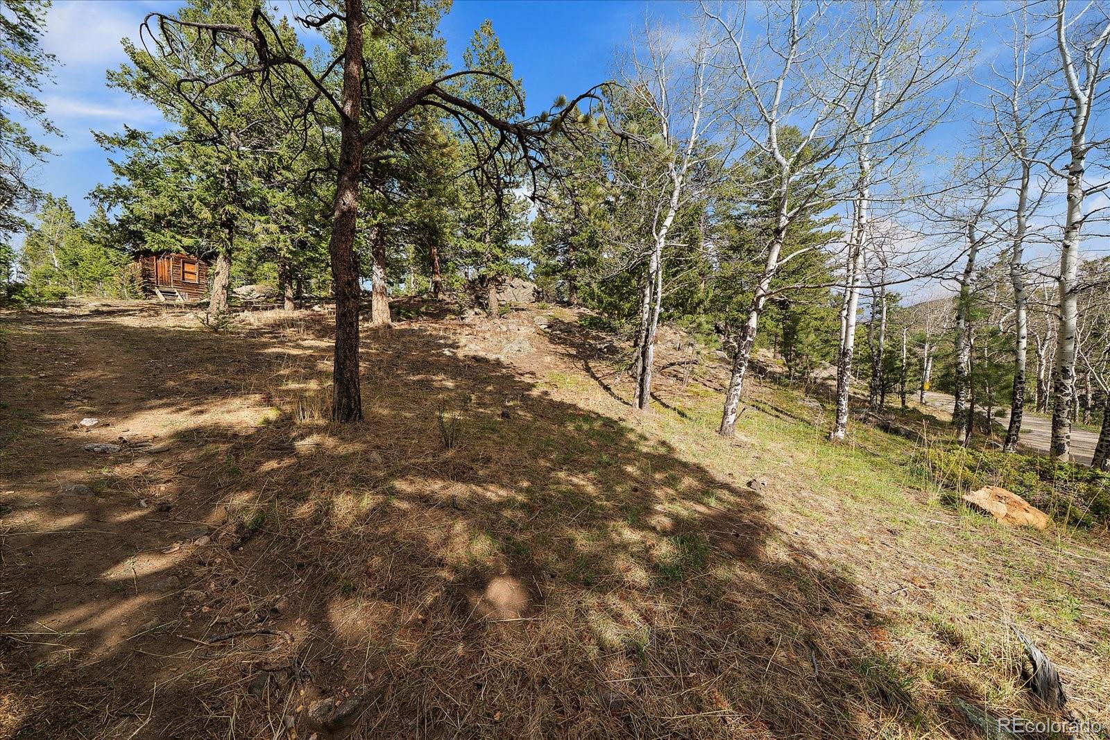 81 Raccoon Circle Evergreen CO 80439