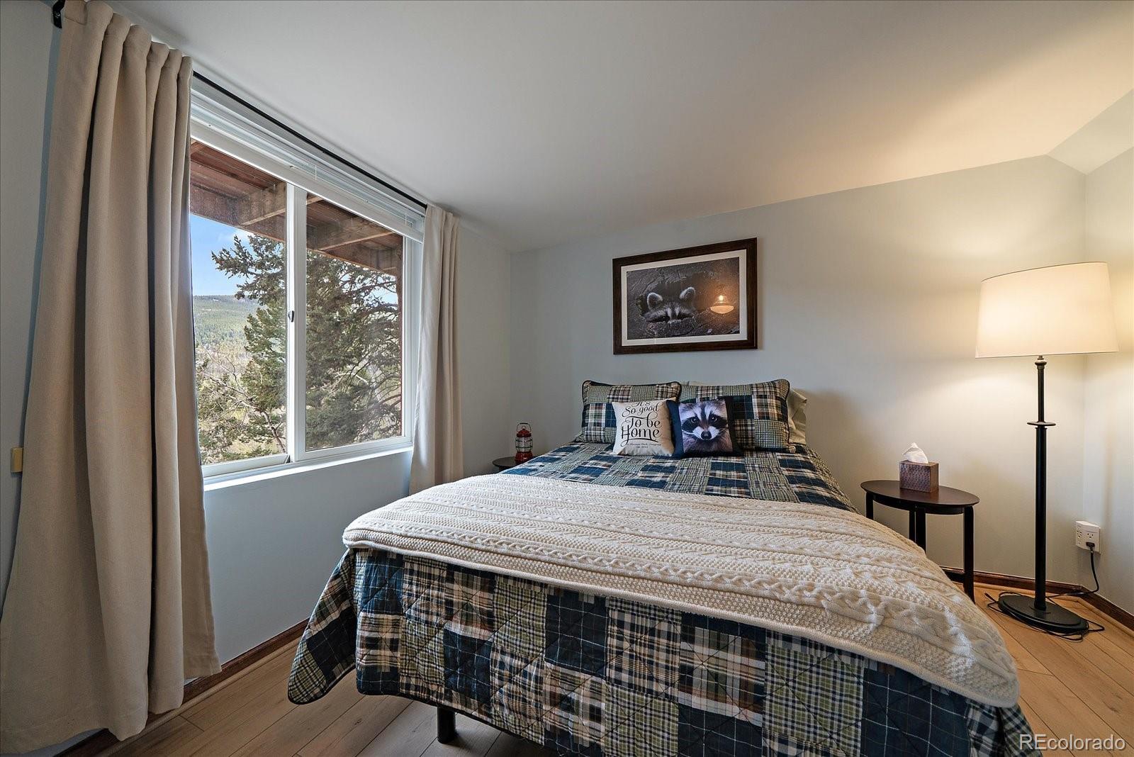 81 Raccoon Circle Evergreen CO 80439