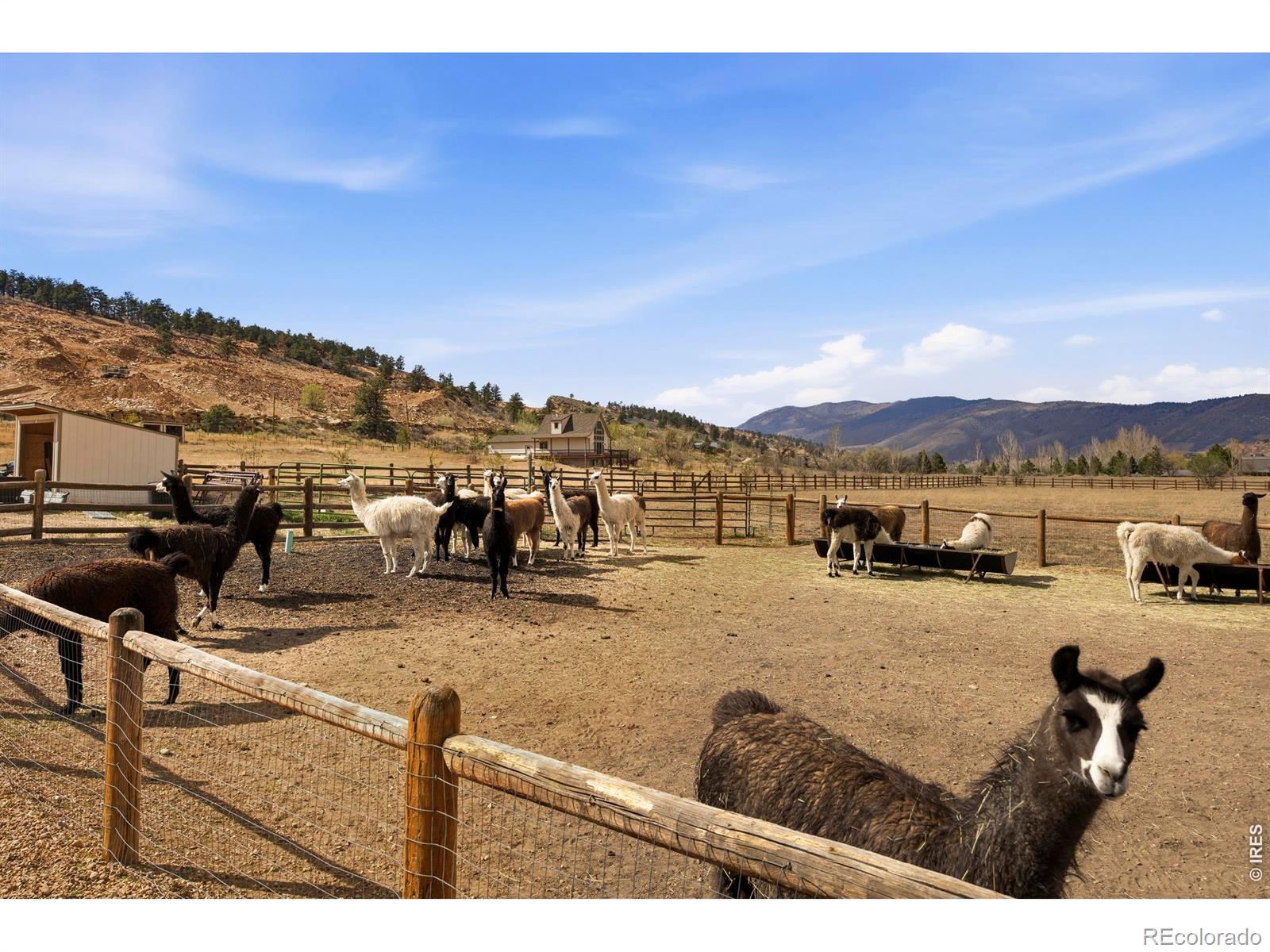 8000 N County Road 27 Loveland CO 80538