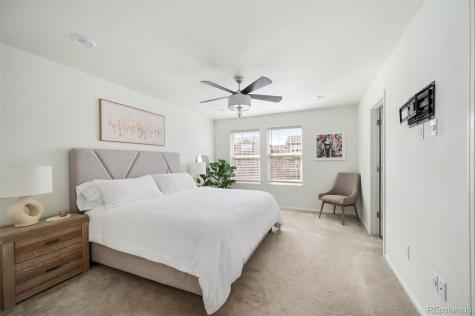 3025 Low Meadow Boulevard Castle Rock CO 80109