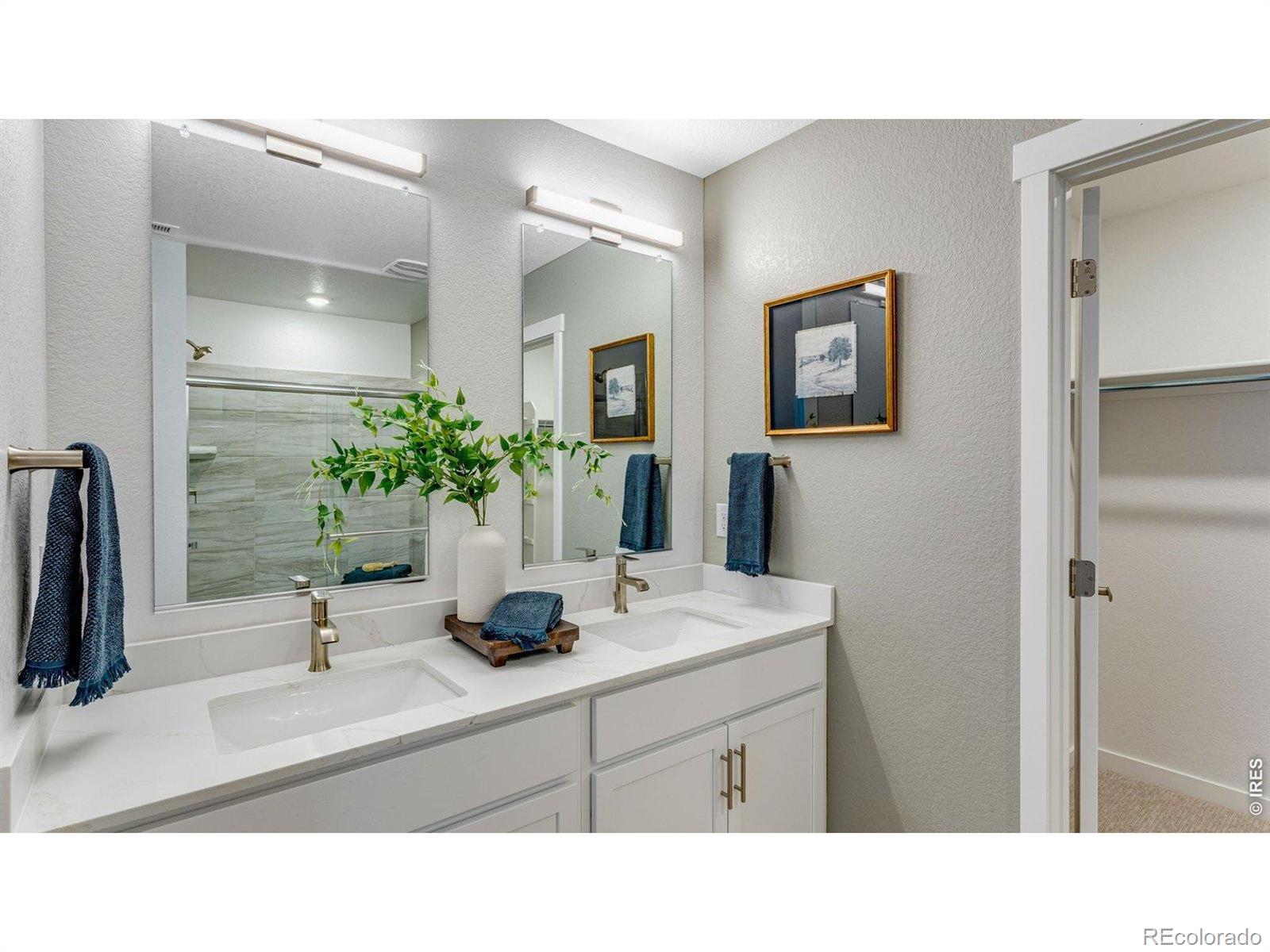 824 Trumpet Lane Windsor CO 80550