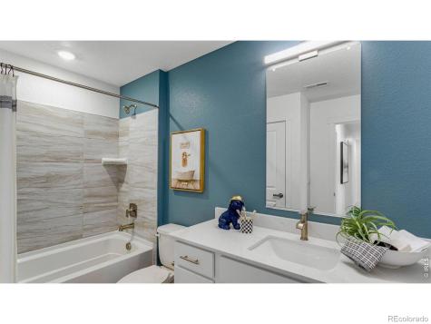 824 Trumpet Lane Windsor CO 80550