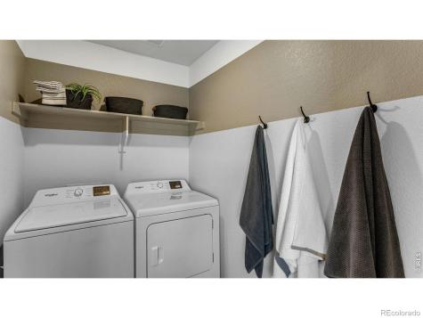 824 Trumpet Lane Windsor CO 80550