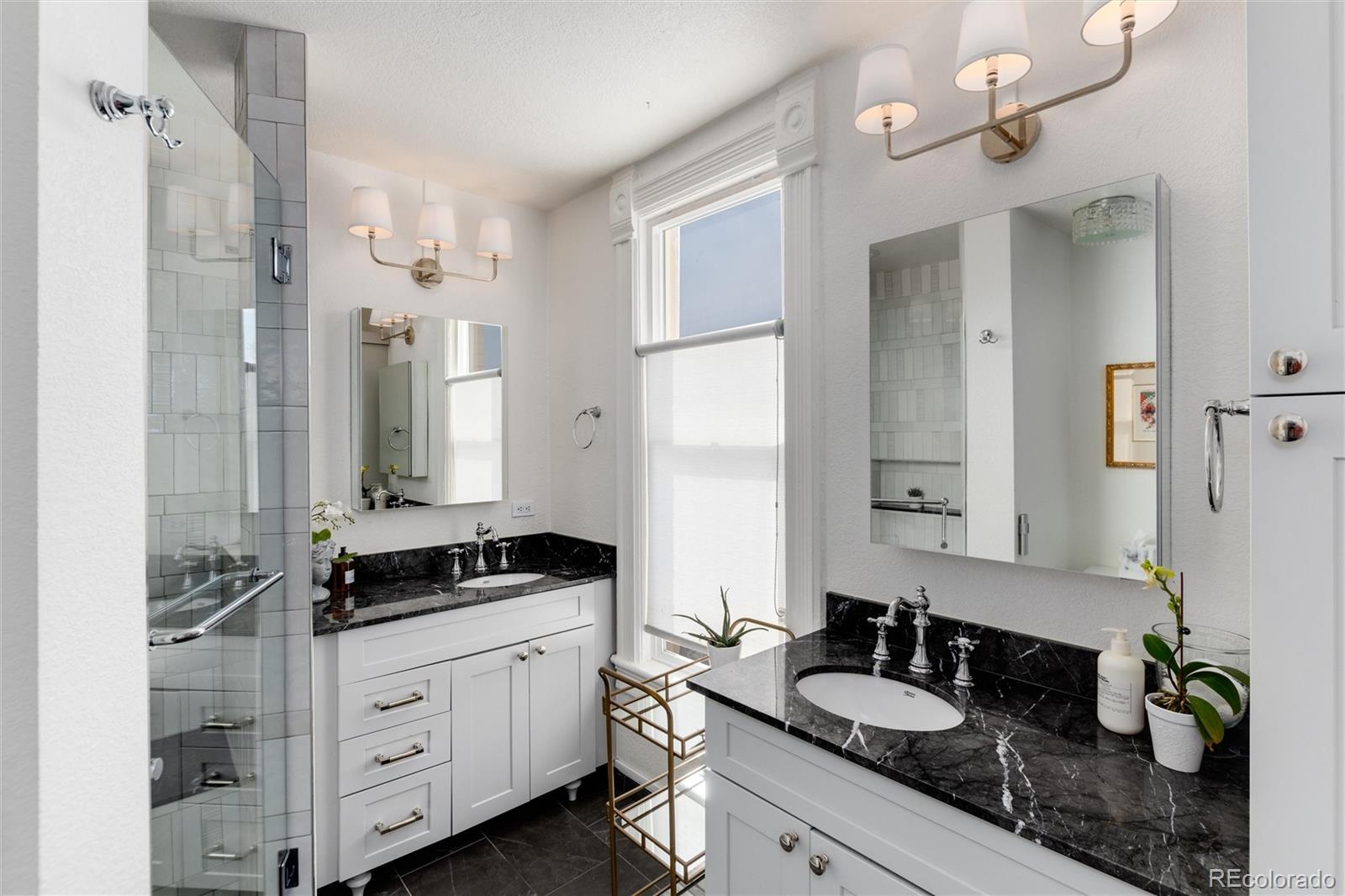 3624 N Williams Street Denver CO 80205