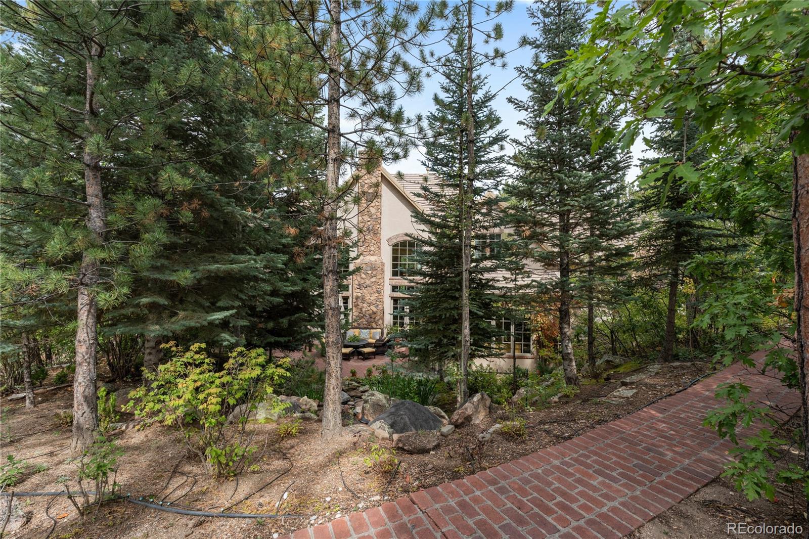 331 Paragon Way Castle Rock CO 80108