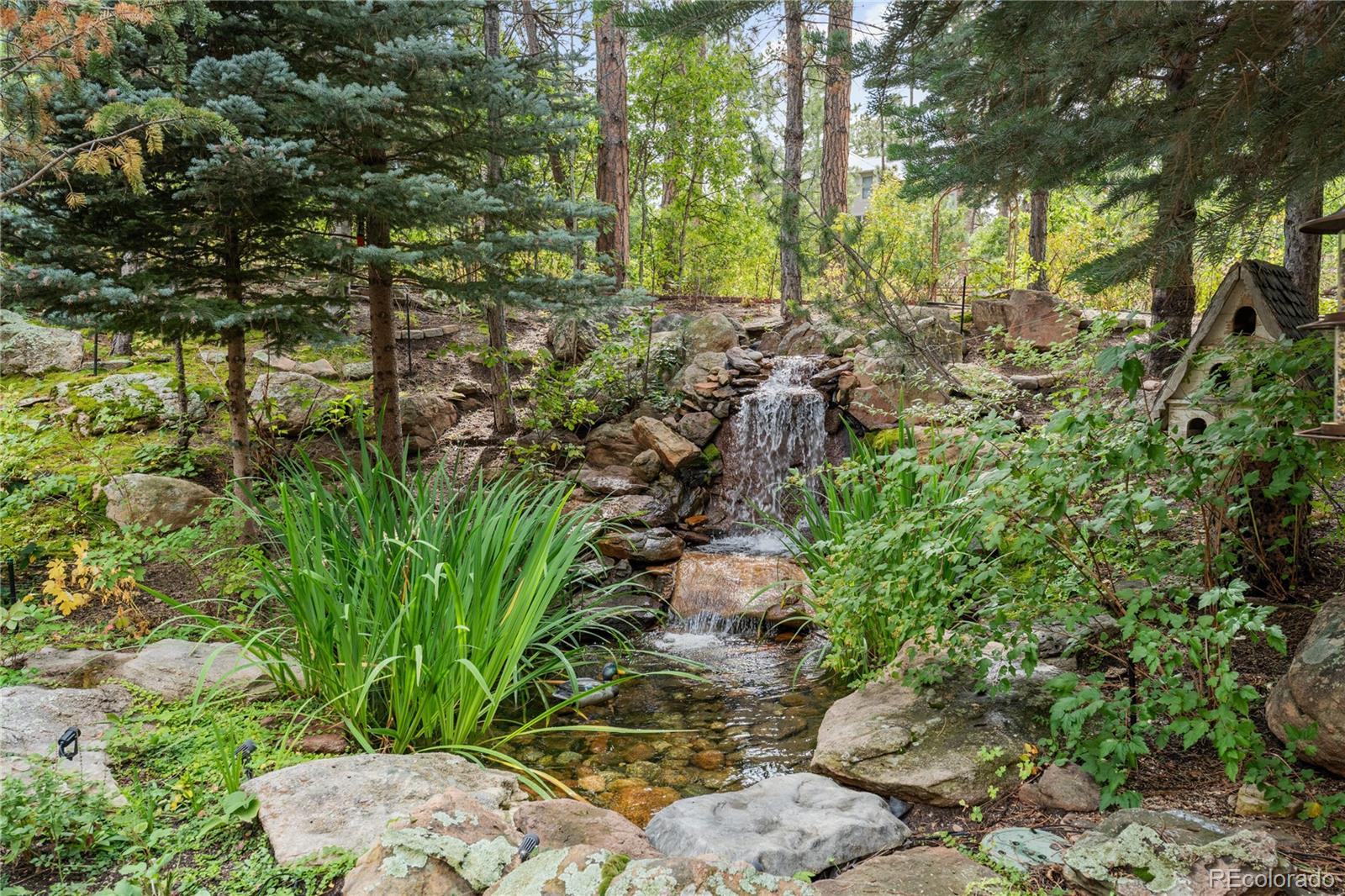 331 Paragon Way Castle Rock CO 80108
