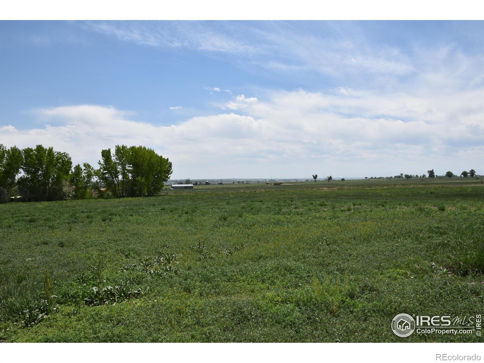3113 County Road 17 Brighton CO 80603