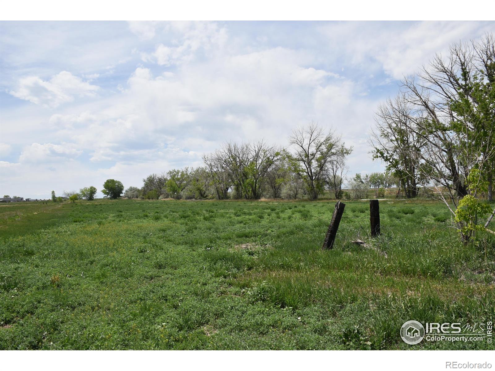 3113 County Road 17 Brighton CO 80603