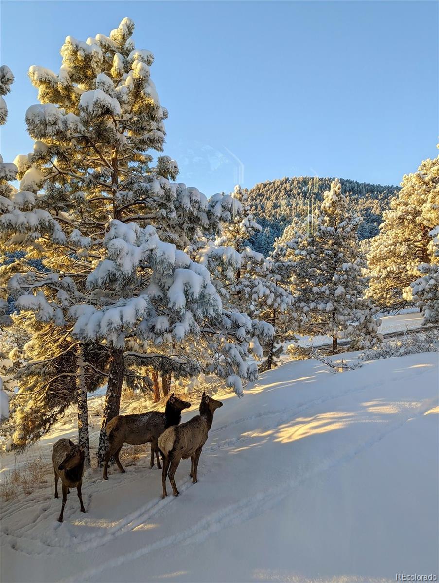 23004 Whispering Woods Golden CO 80401