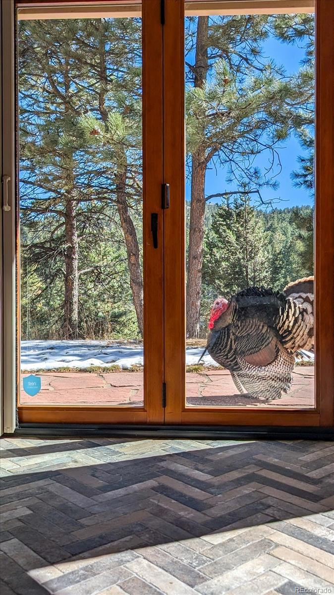 23004 Whispering Woods Golden CO 80401