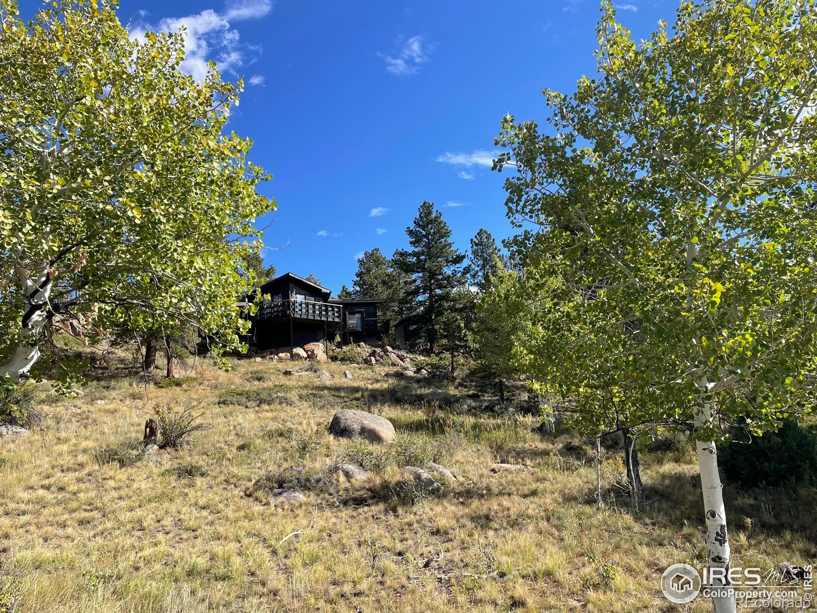 123 Tahlequah Way Red Feather Lakes CO 80545