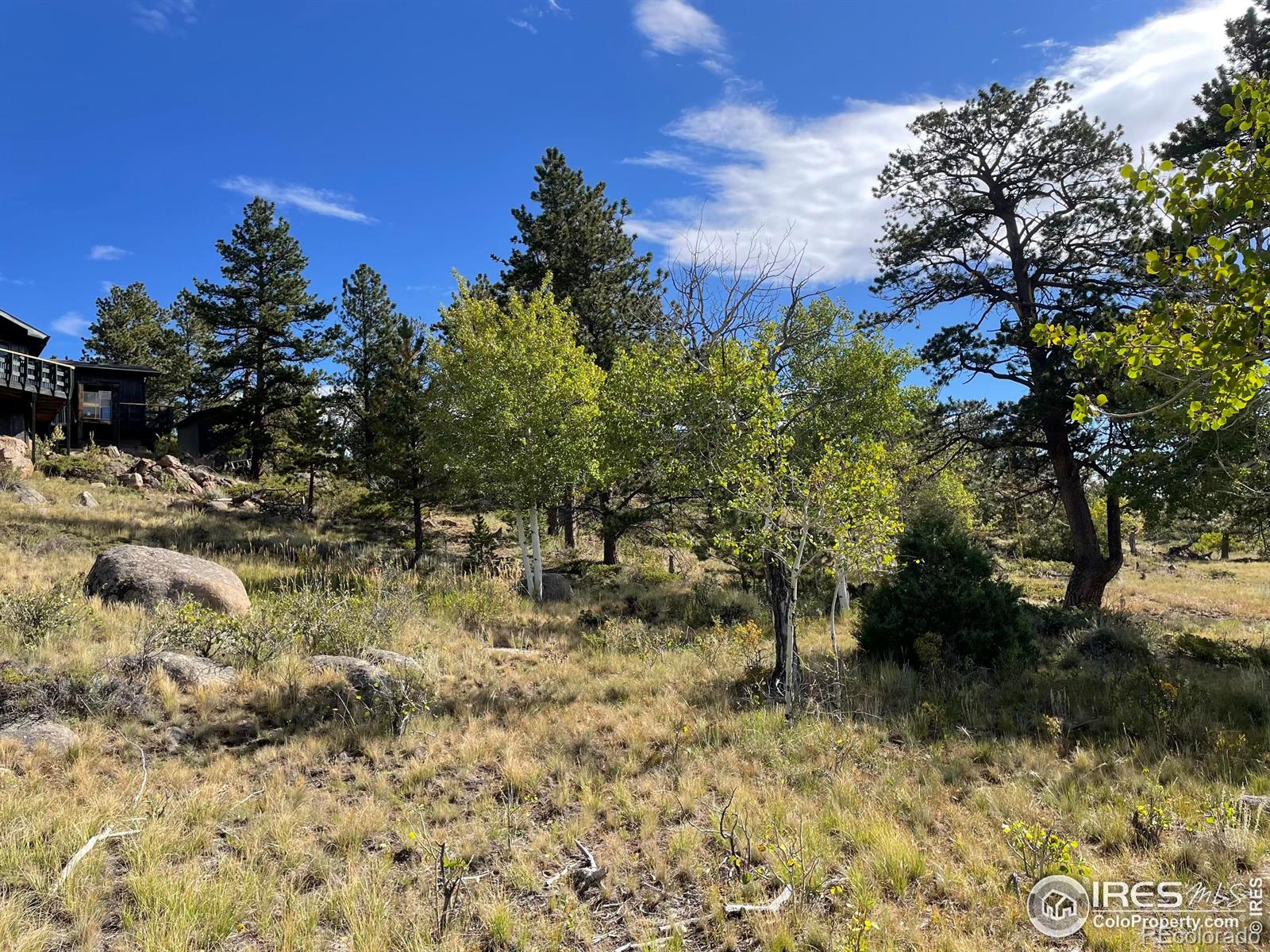123 Tahlequah Way Red Feather Lakes CO 80545