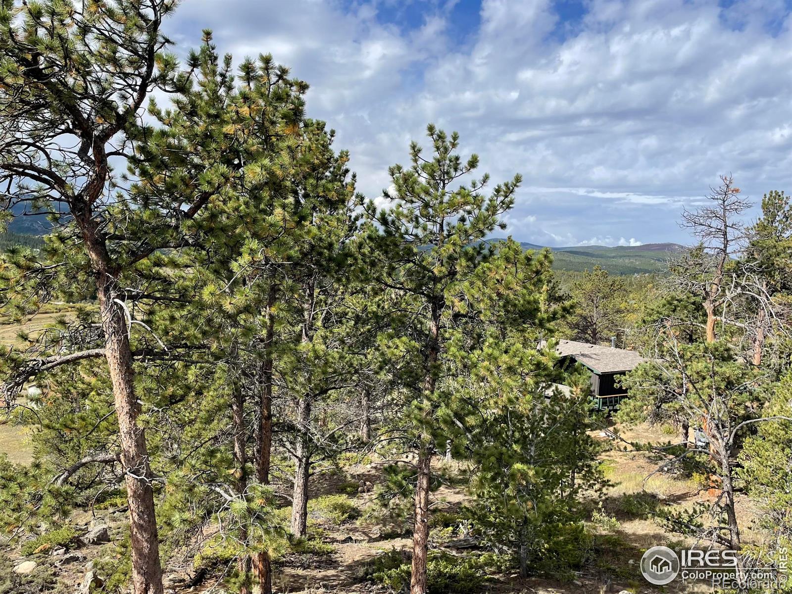 123 Tahlequah Way Red Feather Lakes CO 80545