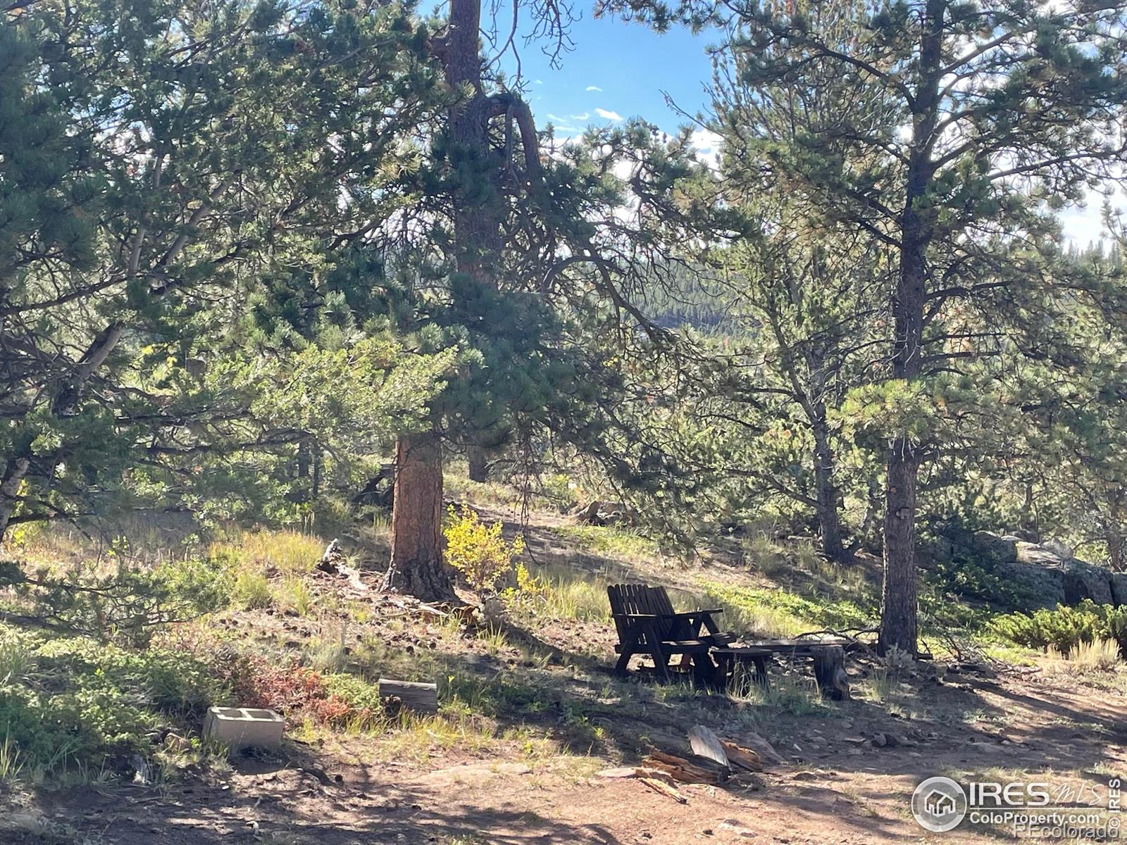 123 Tahlequah Way Red Feather Lakes CO 80545