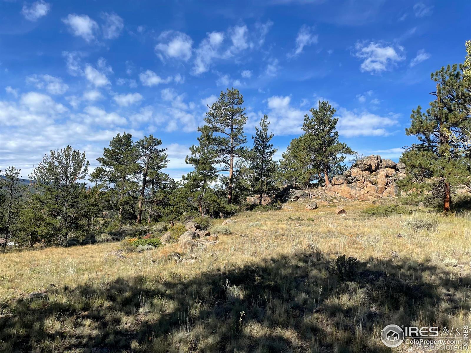 123 Tahlequah Way Red Feather Lakes CO 80545