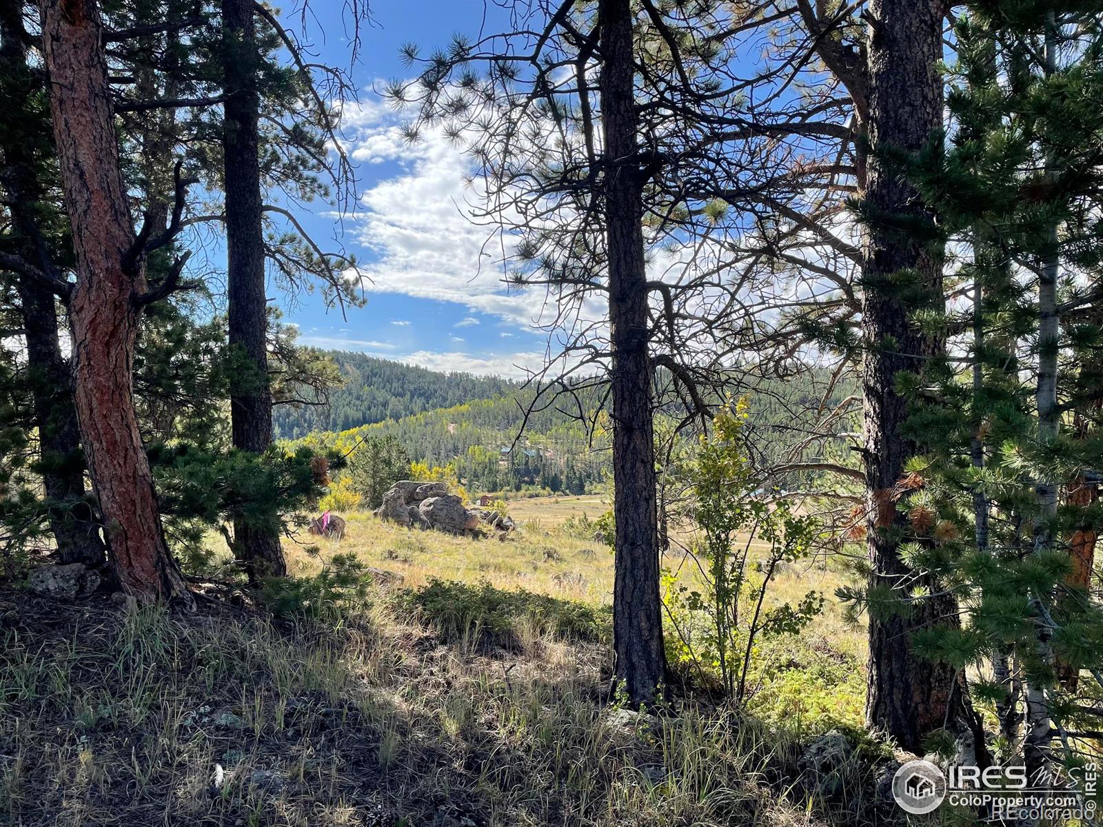 123 Tahlequah Way Red Feather Lakes CO 80545
