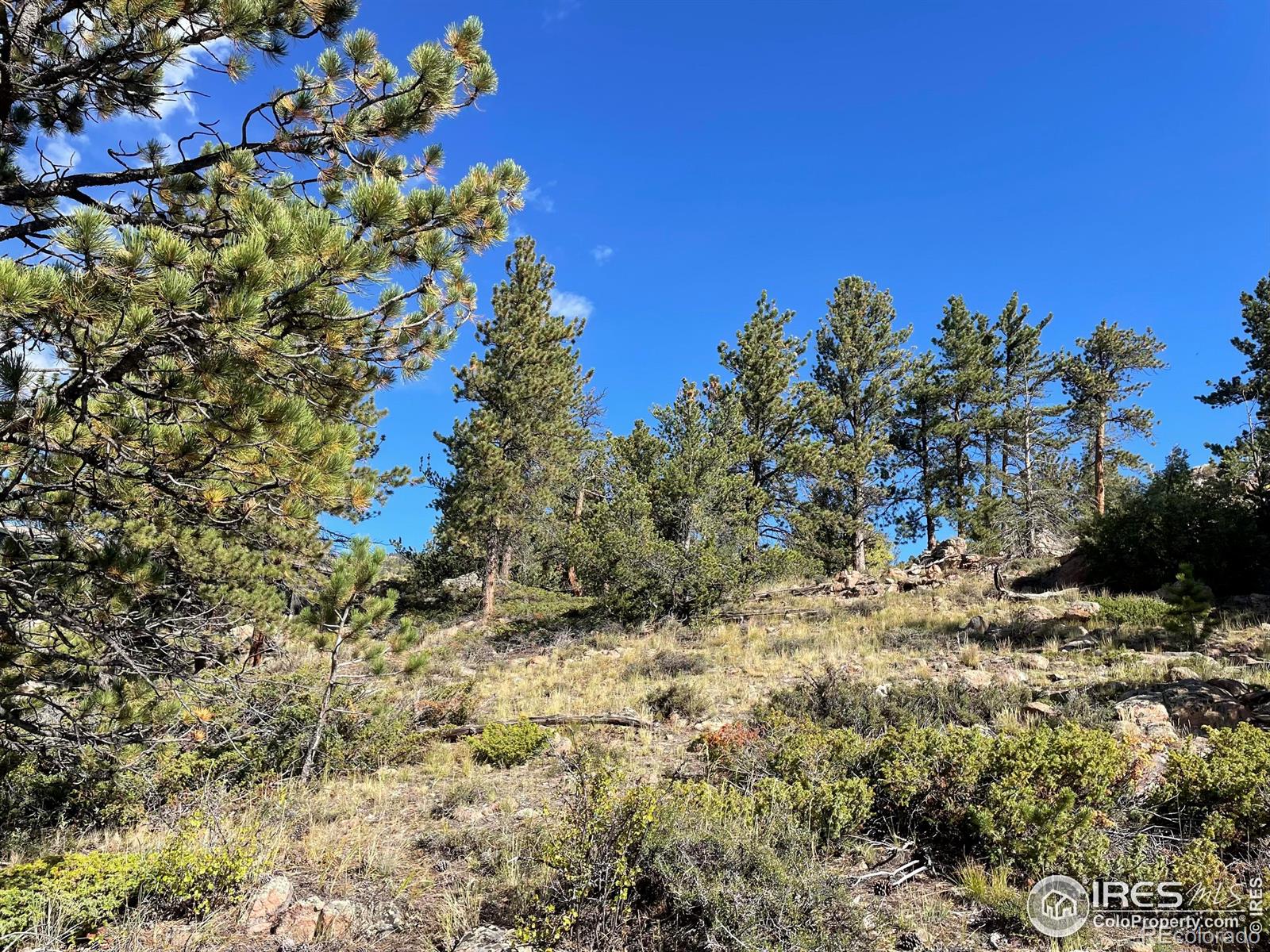 123 Tahlequah Way Red Feather Lakes CO 80545