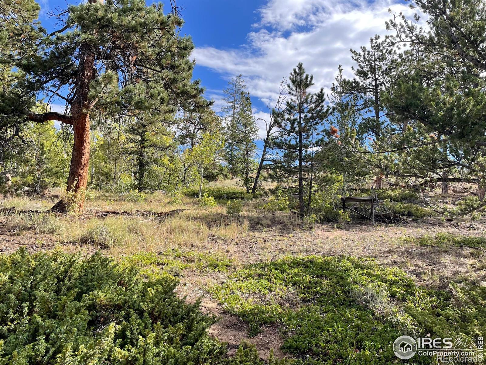 123 Tahlequah Way Red Feather Lakes CO 80545