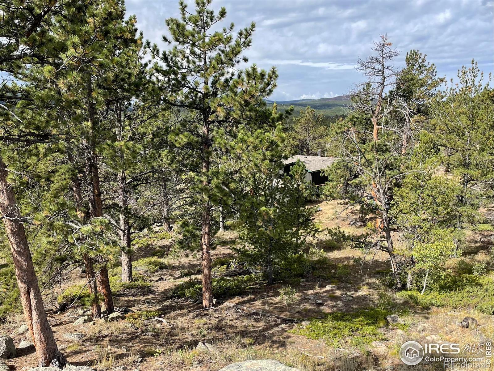 123 Tahlequah Way Red Feather Lakes CO 80545