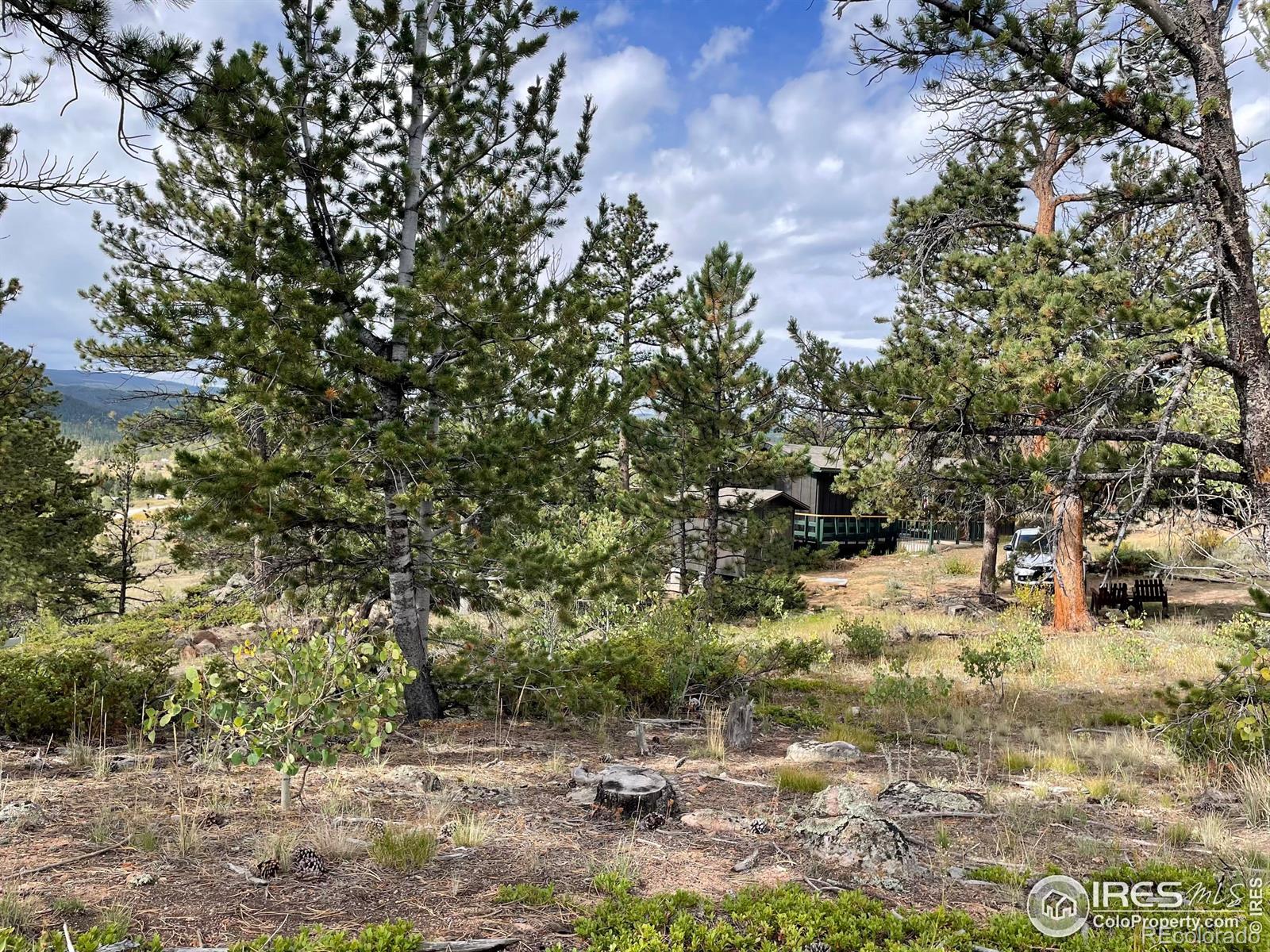 123 Tahlequah Way Red Feather Lakes CO 80545