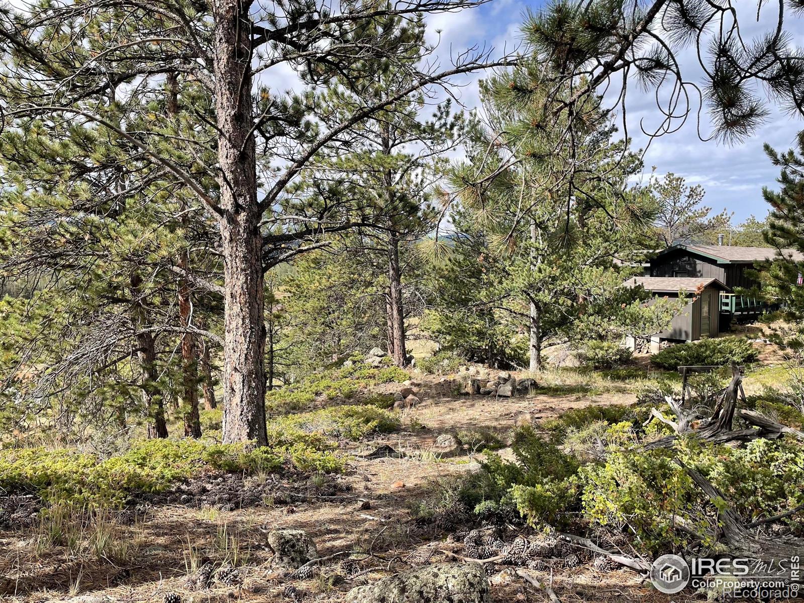 123 Tahlequah Way Red Feather Lakes CO 80545