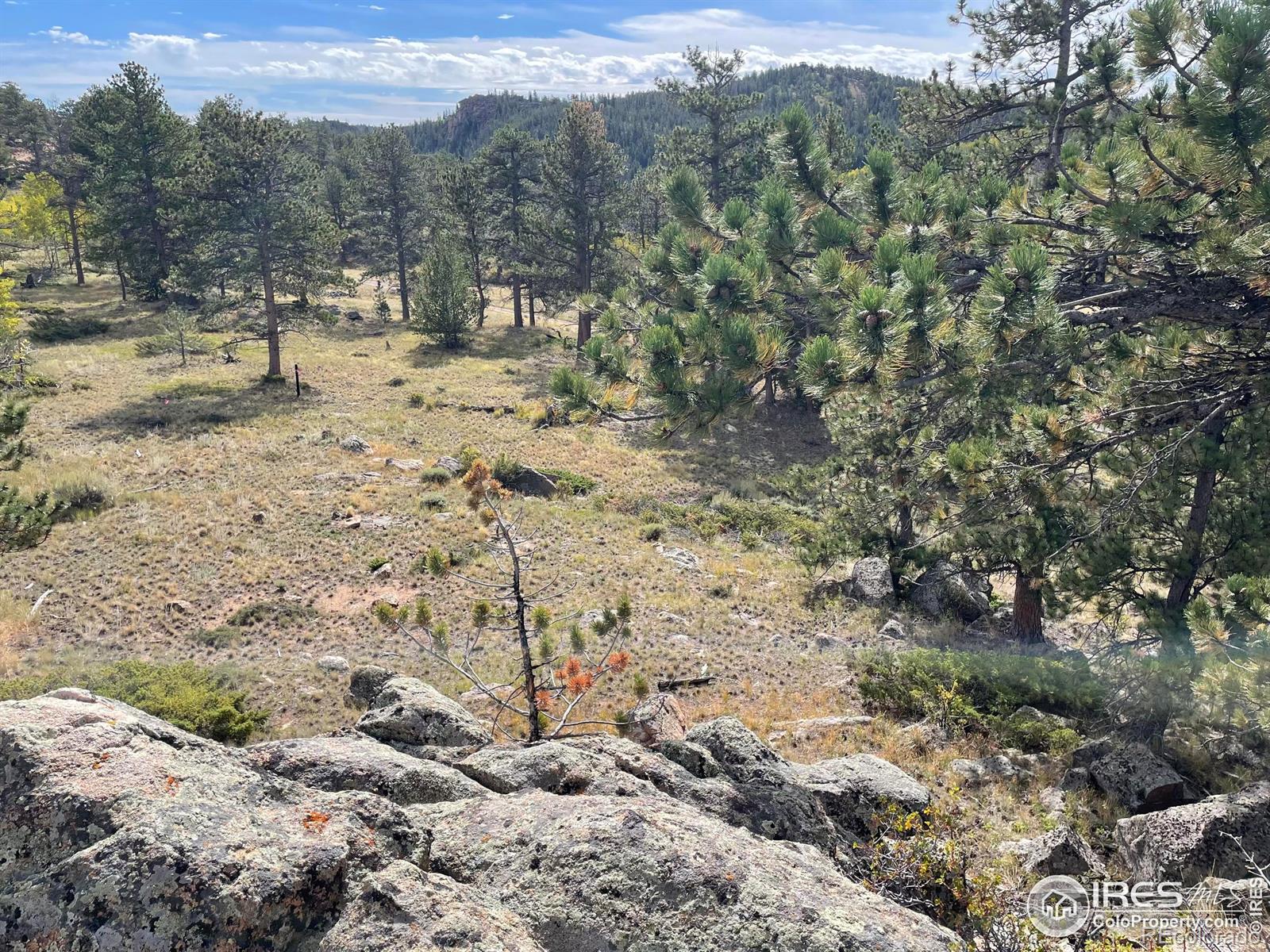 123 Tahlequah Way Red Feather Lakes CO 80545