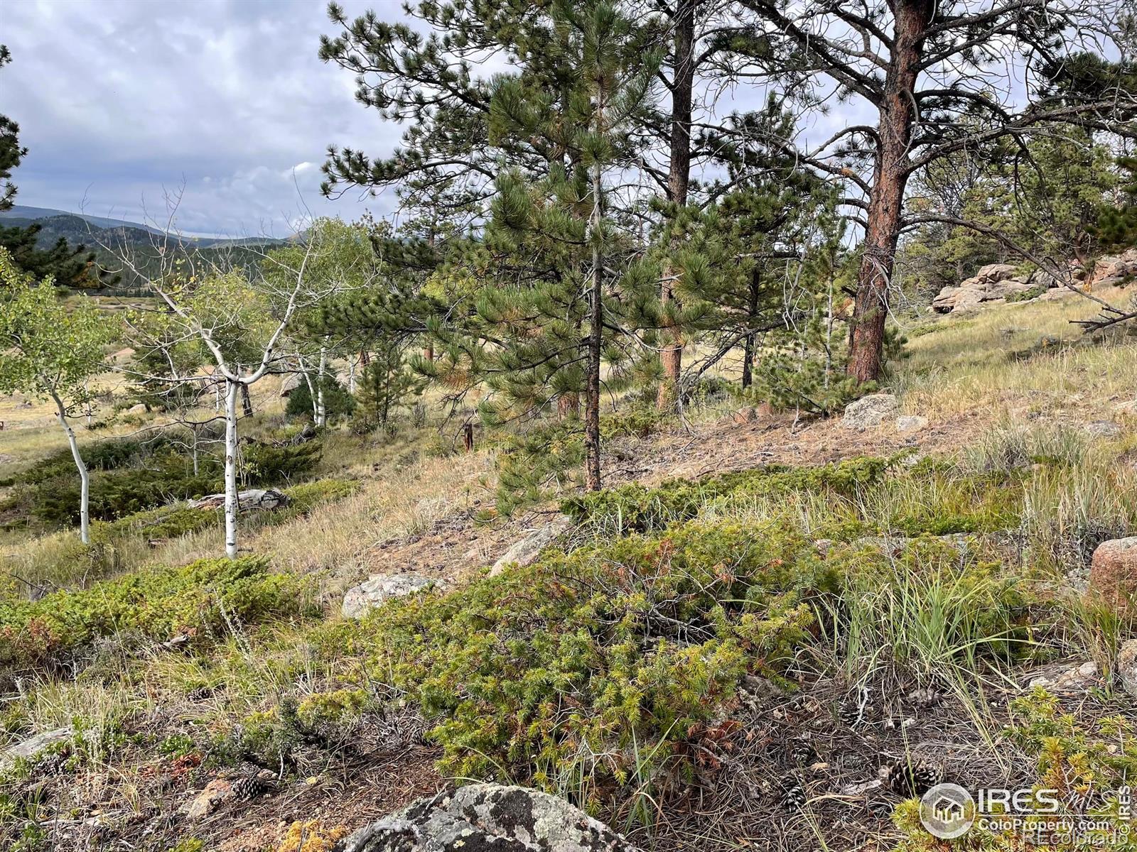 123 Tahlequah Way Red Feather Lakes CO 80545
