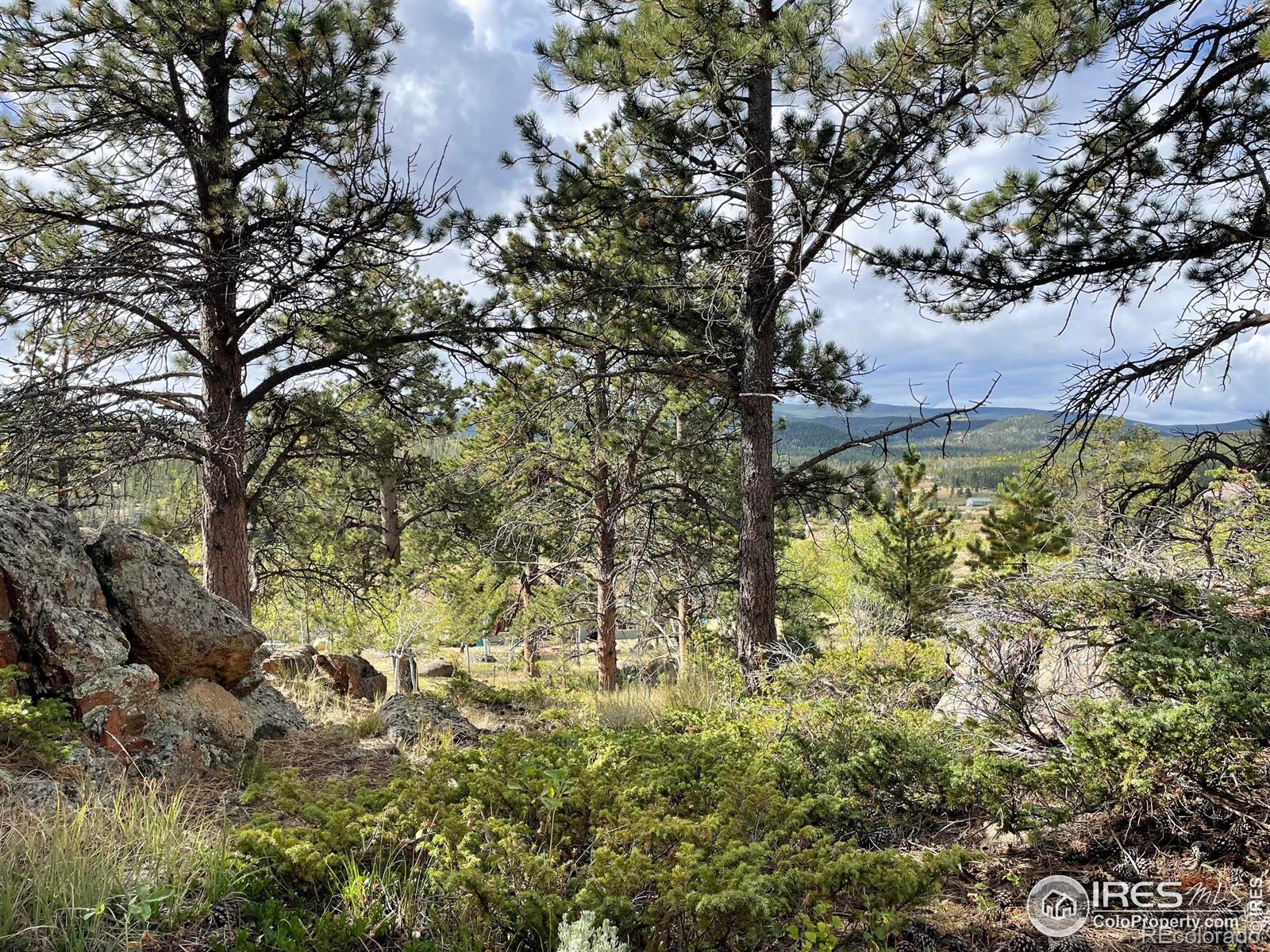 123 Tahlequah Way Red Feather Lakes CO 80545