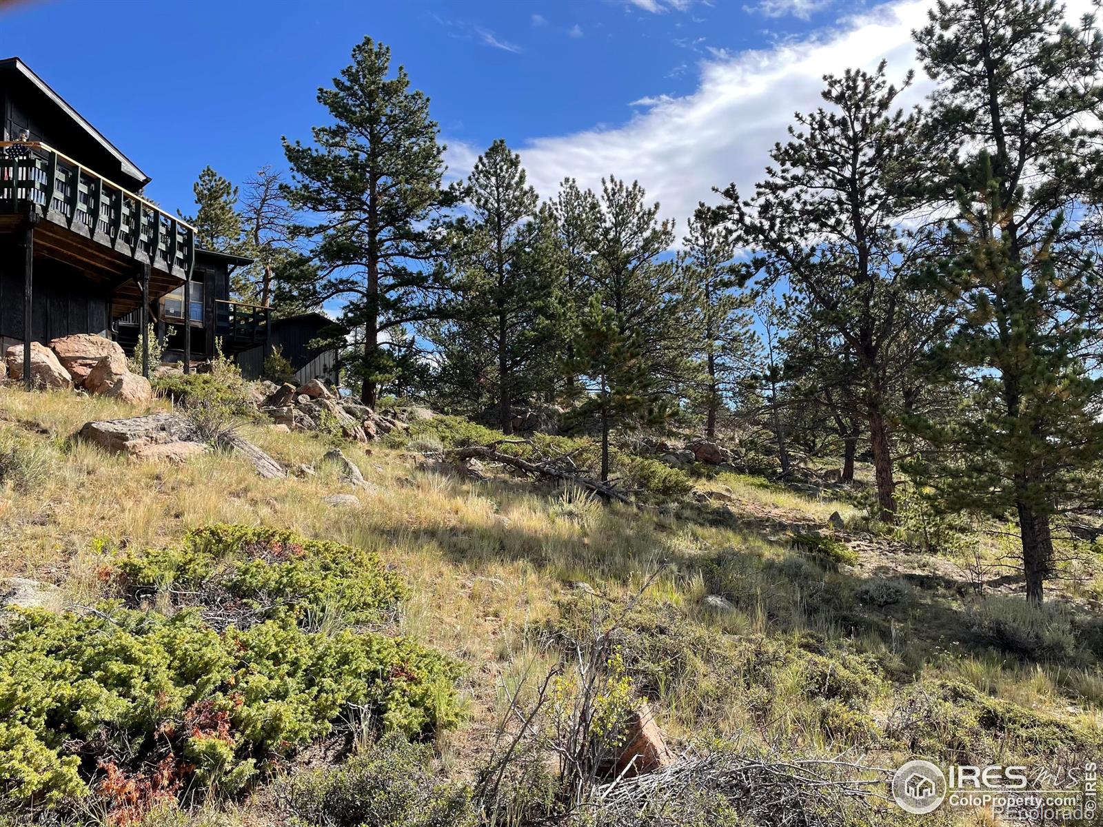 123 Tahlequah Way Red Feather Lakes CO 80545