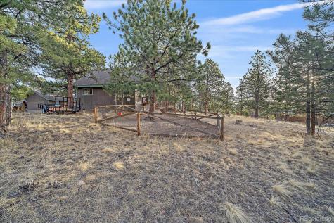 88 Doe Circle Bailey CO 80421
