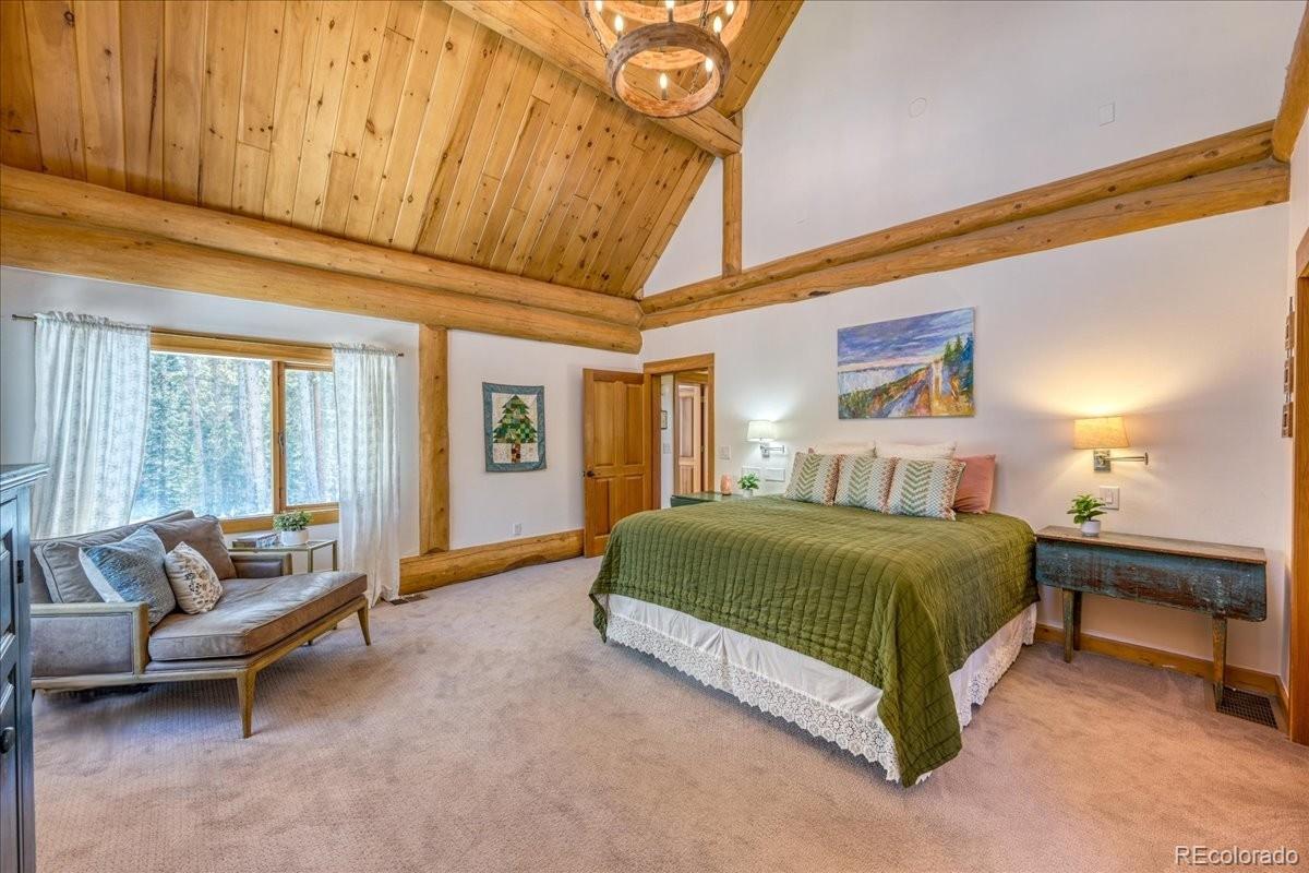 514 Blue Flag Circle Breckenridge CO 80424