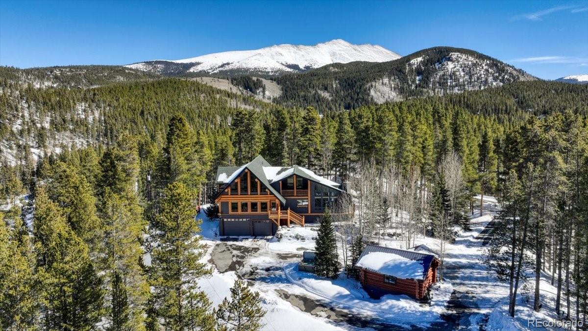 514 Blue Flag Circle Breckenridge CO 80424