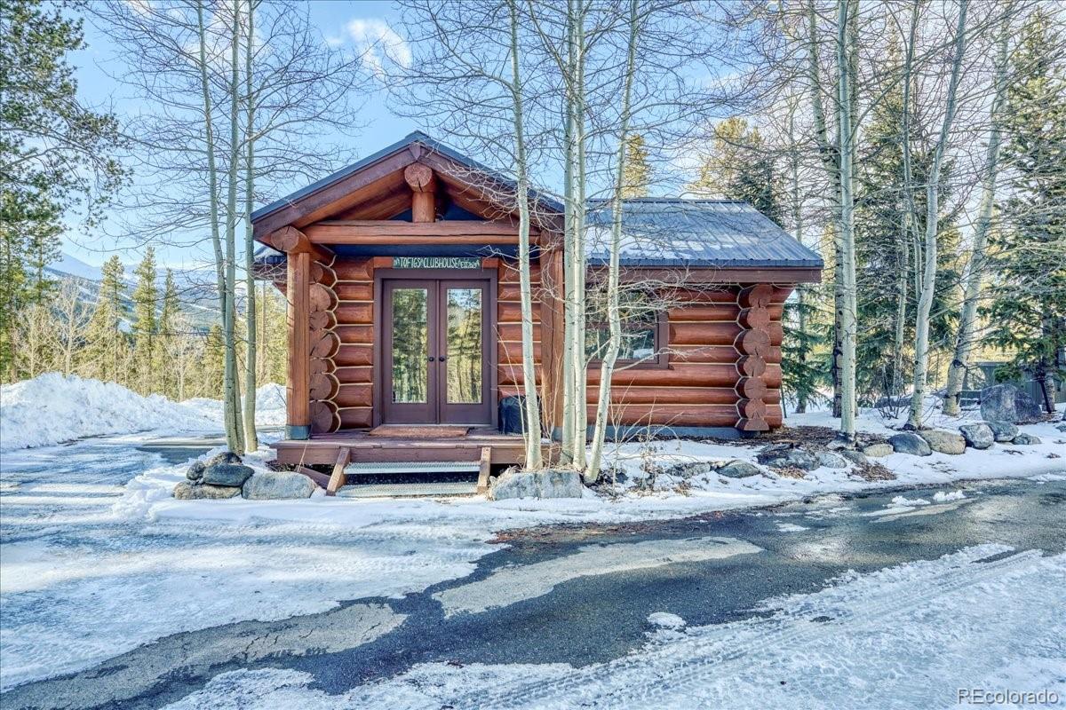 514 Blue Flag Circle Breckenridge CO 80424
