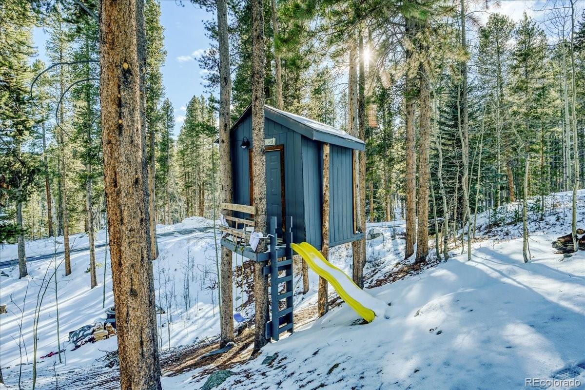 514 Blue Flag Circle Breckenridge CO 80424