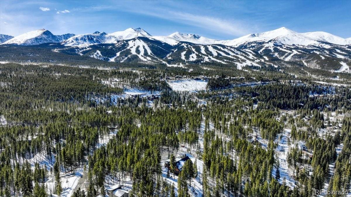 514 Blue Flag Circle Breckenridge CO 80424