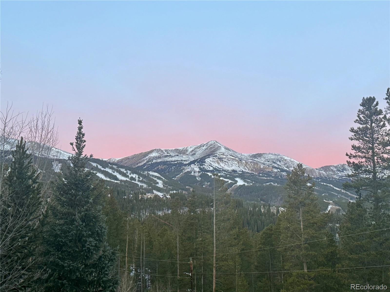 514 Blue Flag Circle Breckenridge CO 80424
