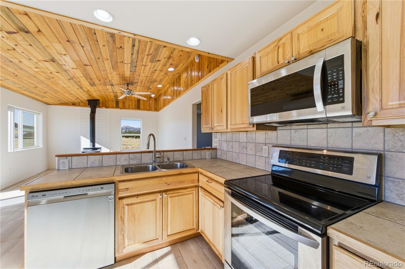 1863 16th Trail Cotopaxi CO 81223