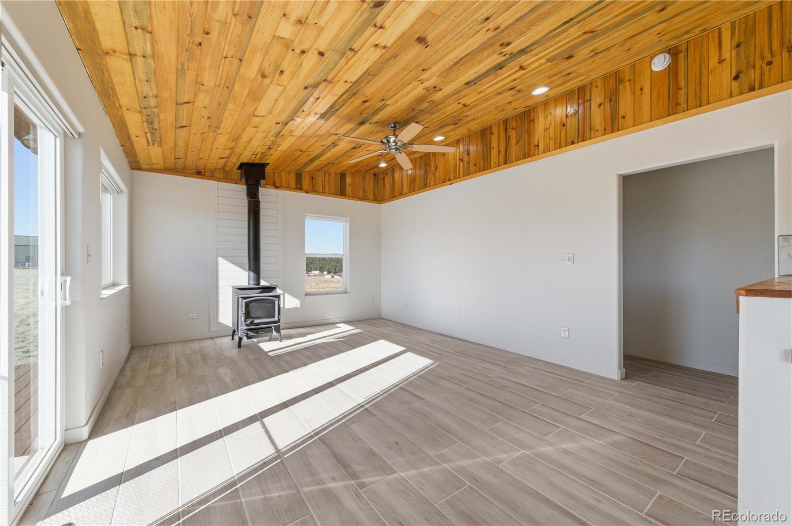 1863 16th Trail Cotopaxi CO 81223