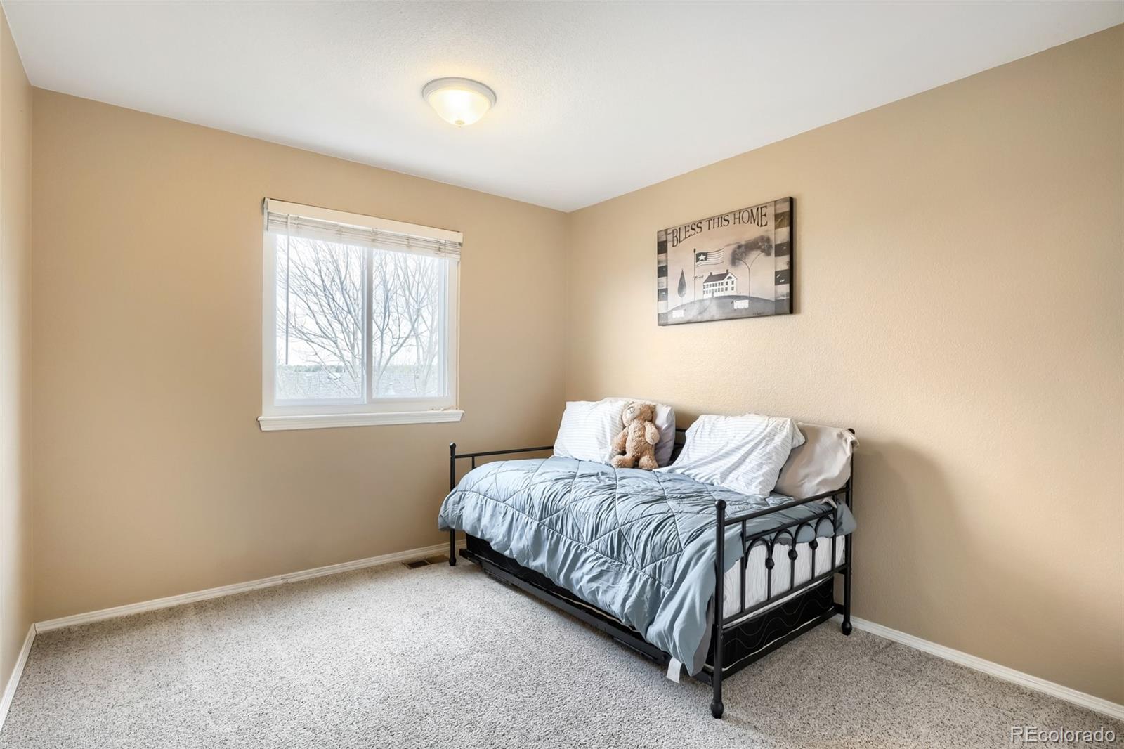 25 Estack Place Highlands Ranch CO 80126