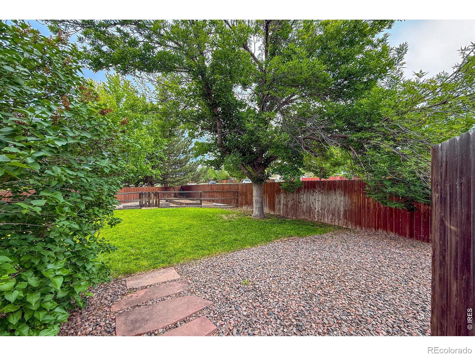 584 Sugar Mill Place Longmont CO 80504