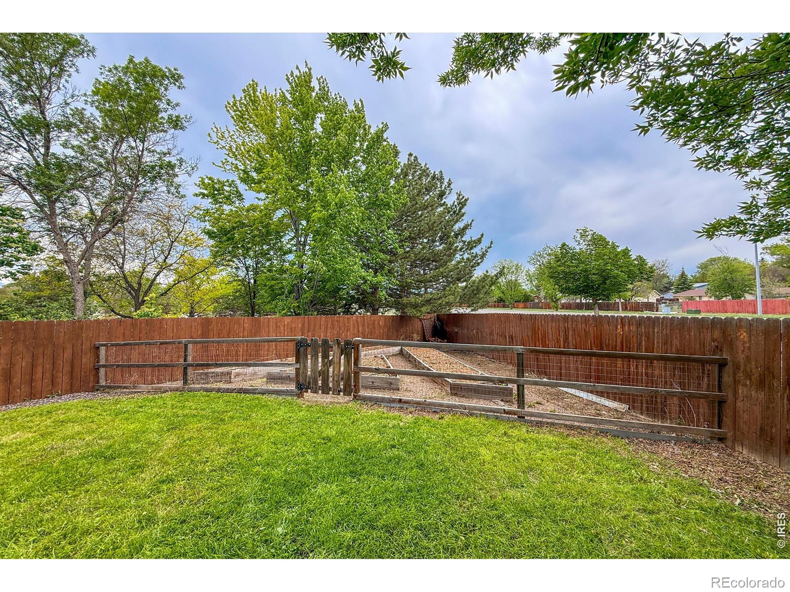 584 Sugar Mill Place Longmont CO 80504